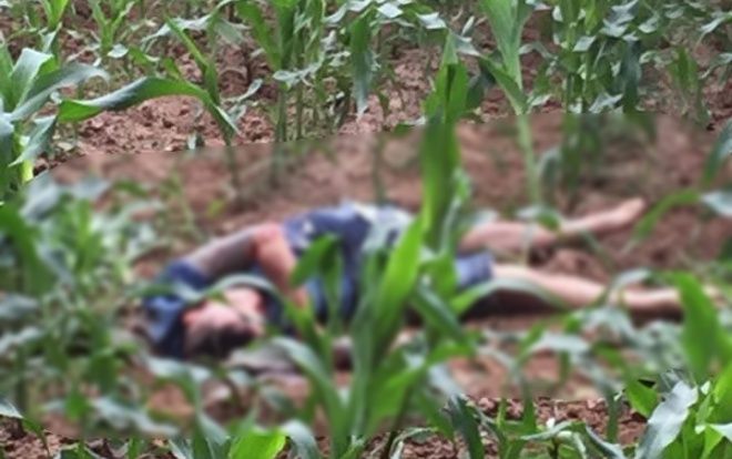Phát hiện nam thanh niên tử vong với nhiều thương tích trên ruộng ngô