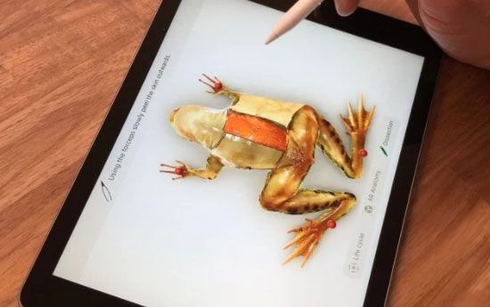 Apple giới thiệu loạt ứng dụng AR khiến bất kì ai cũng muốn lại được đi học trở lại