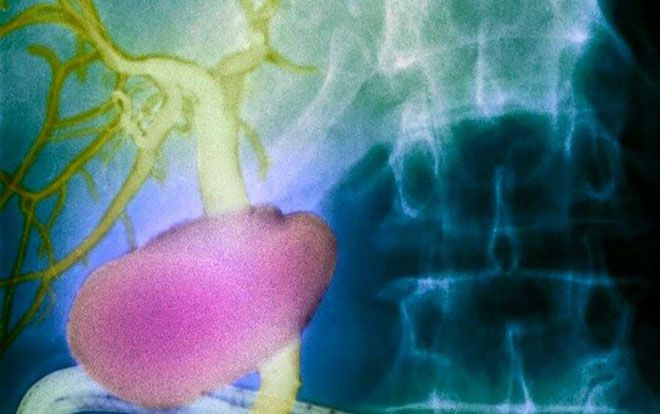 Phát hiện bộ phận mới trong cơ thể người