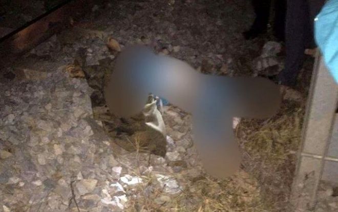 Để lại mảnh giấy 'nhờ gọi điện cho người thân', người phụ nữ lao vào tàu hỏa tử vong thương tâm