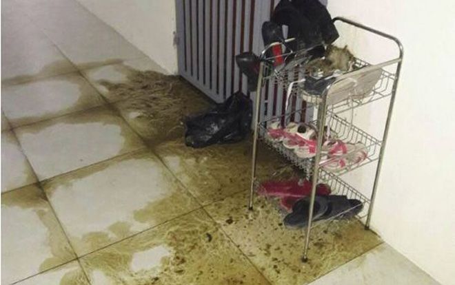 Nghệ An: Kẻ xấu ném chất thải vào nhà dằn mặt… phóng viên vì viết bài điều tra?