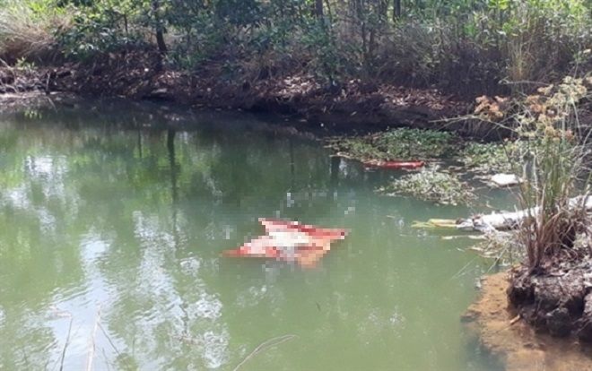 Người phụ nữ chết lõa thể trong ao cá từng có biểu hiện của bệnh trầm cảm