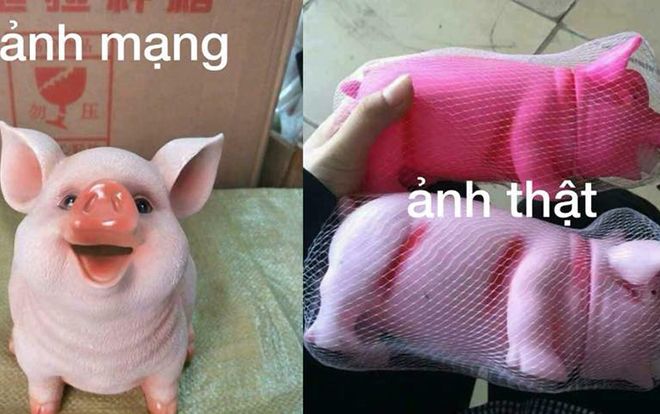 Tưởng nhận về chú heo đựng tiền đang hot nhất MXH, hoá ra chỉ là… 'heo fake'