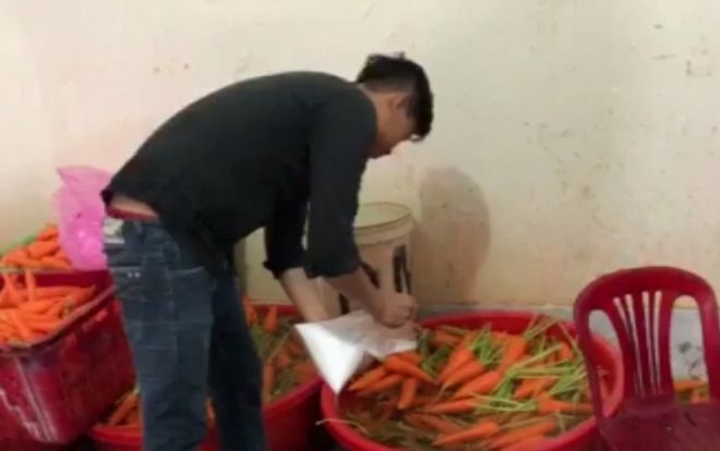 Bắt quả tang 4 cơ sở dùng hóa chất tẩy trắng 6,3 tấn củ cải