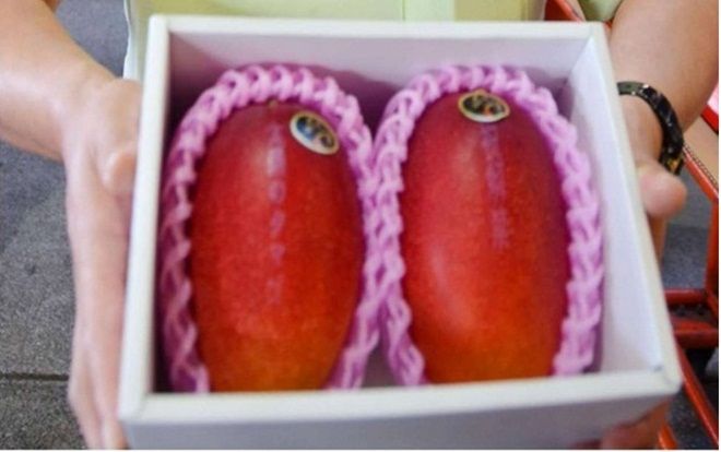 Cặp xoài siêu đắt, bán với giá gần 85 triệu đồng