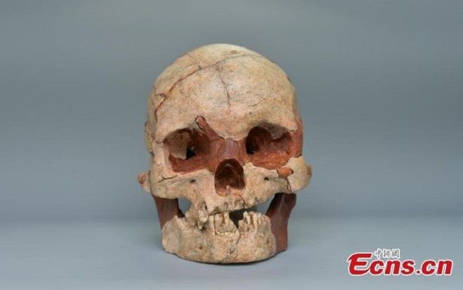 Phát hiện hộp sọ người hoàn chỉnh 16.000 năm tuổi