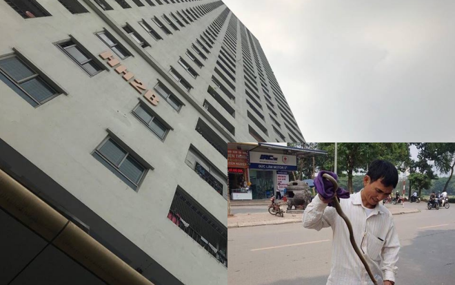 Nhiều cư dân hốt hoảng khi thấy con rắn dài hơn 1m từ ‘trên trời rơi xuống’