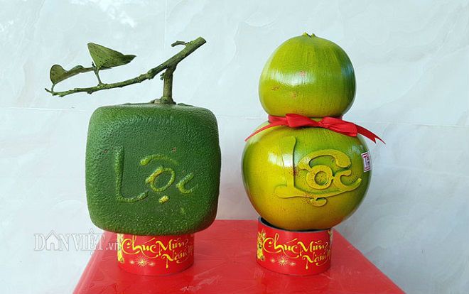 Bưởi hình vuông có chữ 4 mặt chưa từng thấy của thanh niên Bến Tre