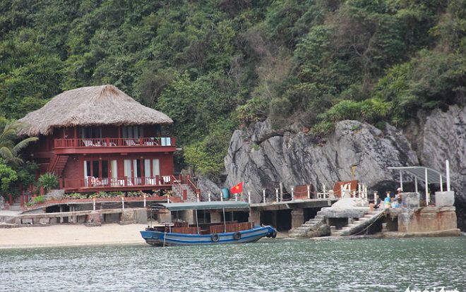 Vườn quốc gia Cát Bà nham nhở vì bị 'xâm hại'