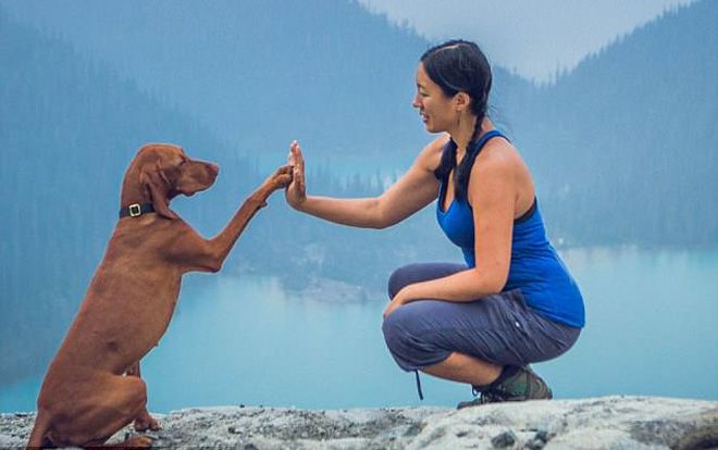 Ghen tị với chú chó tuần nào cũng được đi du lịch, chụp ảnh 'chất lừ'