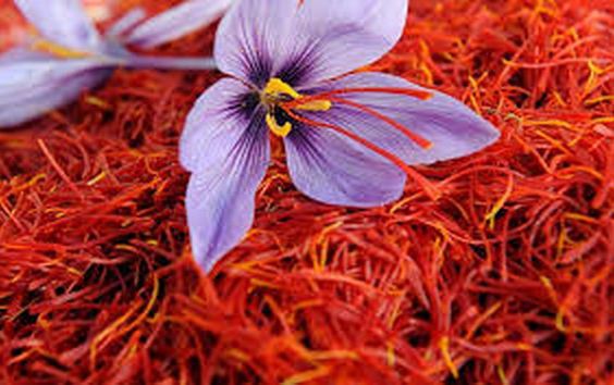 Nhụy hoa huệ Tây - saffron giá đắt trên trời có công dụng thực sự với làm đẹp như thế nào?