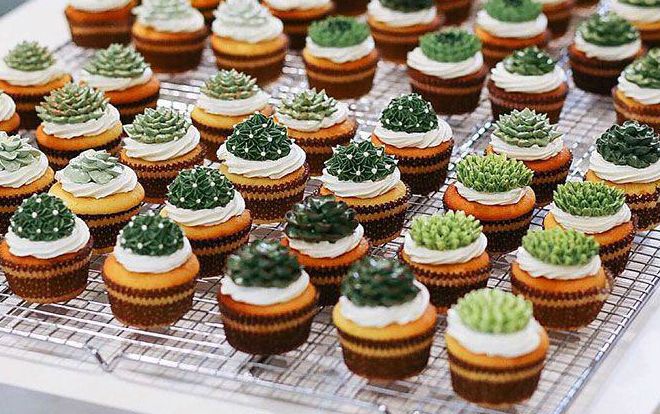 Nhìn cứ tưởng là chậu cây, lại gần mới biết sự thật khiến ai cũng chẳng thốt nên lời