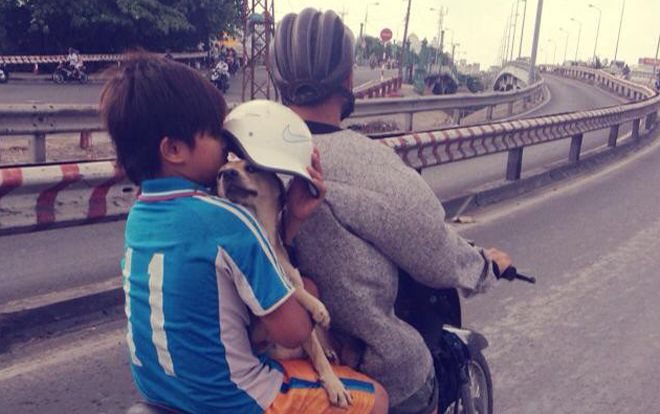 Hình ảnh 'em bé và chú chó trong ngày mưa' khiến dân mạng thả ngàn tim vì cảm động