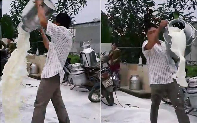 Chính quyền và nhà máy sữa lên tiếng về việc nông dân đổ sữa trắng xóa mặt đường