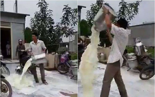 Vợ người đổ hàng chục lít sữa bò tươi ra đường để đòi lại công bằng nói gì?