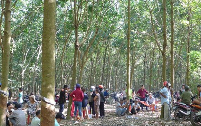 Bắt thêm 3 đối tượng chích điện, cắt vành tai cô gái vì món nợ 20 triệu đồng