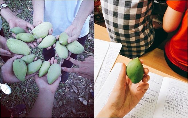 'Sống lại' thời sinh viên nghèo với kỉ niệm đến quả xoài xanh cũng phải vật vã 'chôm' trộm của trường, lén lút ăn trong giờ học