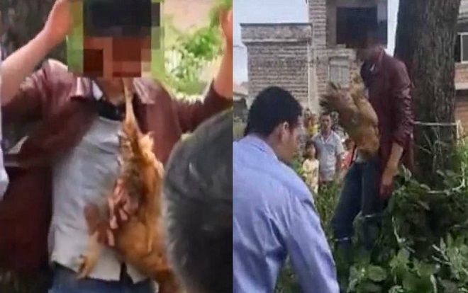 Nam thanh niên phải ngậm gà chết vì tội ăn trộm