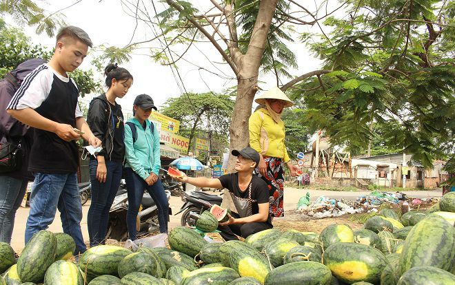Bất chấp nắng nóng gay gắt, sinh viên Sài Gòn ra sức giúp nông dân Quãng Ngãi 'giải cứu' dưa hấu