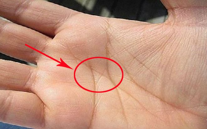 Sở hữu đường chỉ tay 'của hiếm thế giới', không sớm thì muộn cũng phát tài