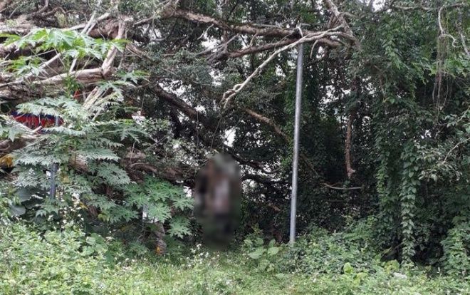 Uất ức vì nhặt được điện thoại nhưng bị cho là kẻ trộm, người đàn ông viết thư tuyệt mệnh rồi treo cổ tự tử