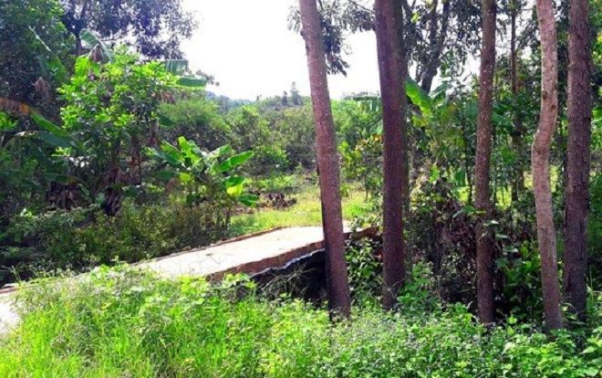 Nghi án cán bộ tư pháp xã hiếp dâm bé gái 14 tuổi nhiều lần