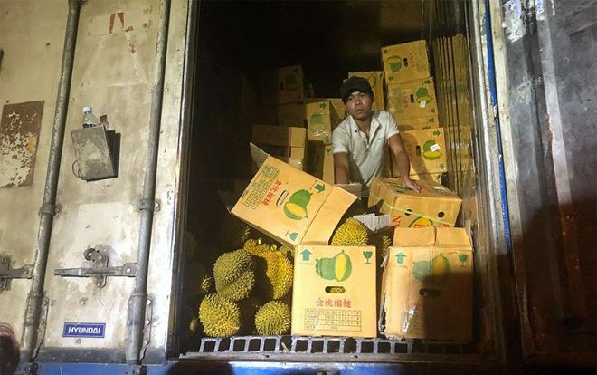 Hà Nội: Xếp hàng giữa trưa nắng, tranh mua 17 tấn sầu riêng ế