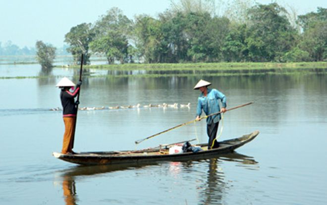 TT Huế: Đổ xô đi bắt vẹm đen, kiếm tiền triệu mỗi ngày