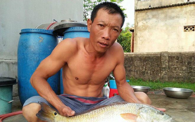 Ngư dân bắt được cá nghi là sủ vàng quý hiếm