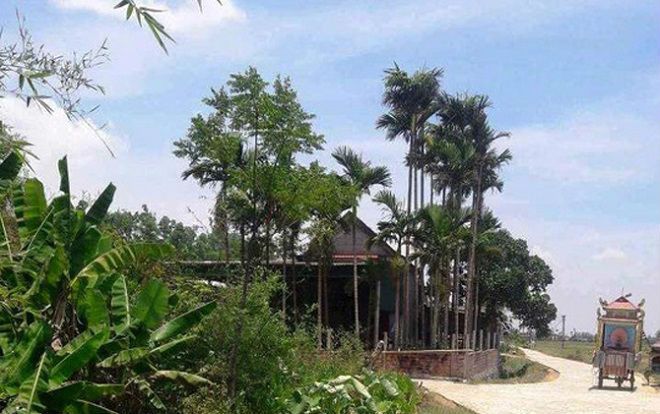 Vụ vợ tử vong trong căn nhà bốc cháy nồng nặc mùi xăng: Người chồng cũng không qua khỏi