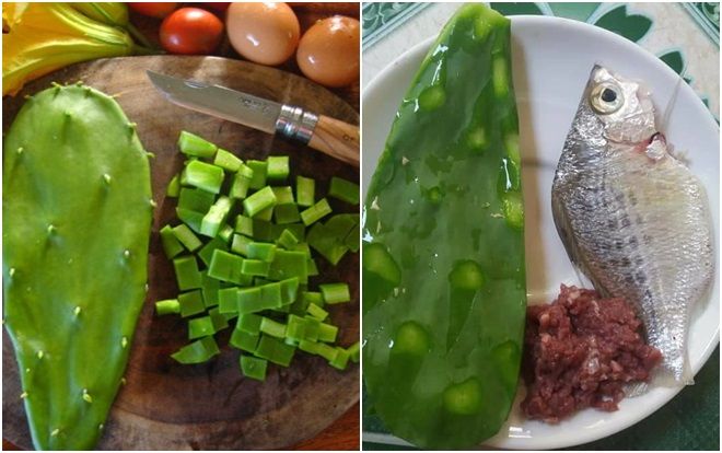 Tháng 6 nắng đổ lửa rủ nhau về miền Trung ăn món canh xương rồng vừa ngon vừa lạ