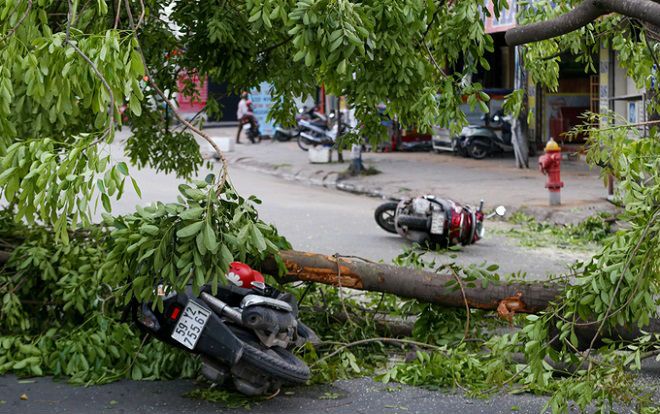 Cây ngã hàng loạt trong giông lốc, giao thông TP HCM rối loạn