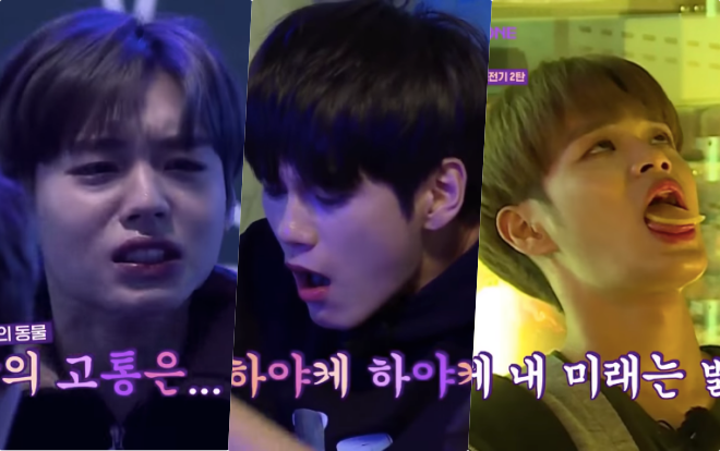 Vừa ăn vừa khóc đến cạn nước mắt nhưng Wanna One vẫn 'mãi một tình yêu' với món tủ này