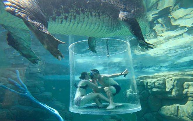 Cầu hôn bạn gái trong Lồng tử thần giữa hai con cá sấu khổng lồ