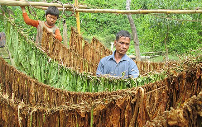 Vợ chồng 50 năm sống biệt lập giữa rừng Quảng Trị