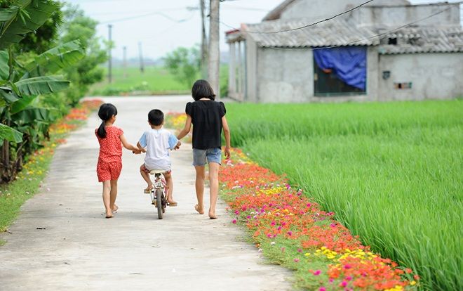 Cần gì đi đâu xa, ở Việt Nam cũng có những con đường hoa thơ mộng đẹp không thua một xứ xở nào!