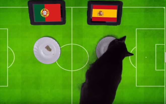 ‘Tiên tri’ mèo đen dự đoán Bồ Đào Nha sẽ gục ngã trước Tây Ban Nha