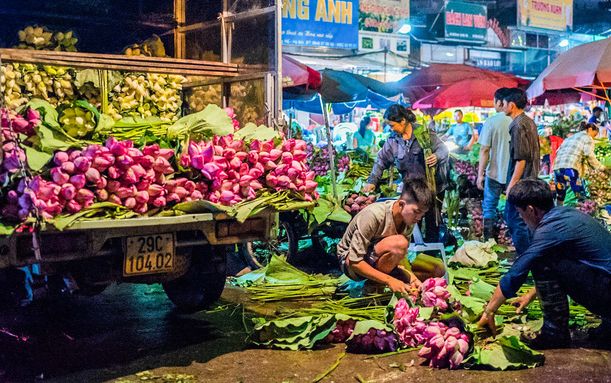 Những ngày đầu tháng 6, chợ hoa Quảng Bá có thêm hương sắc của cả ngàn bông sen