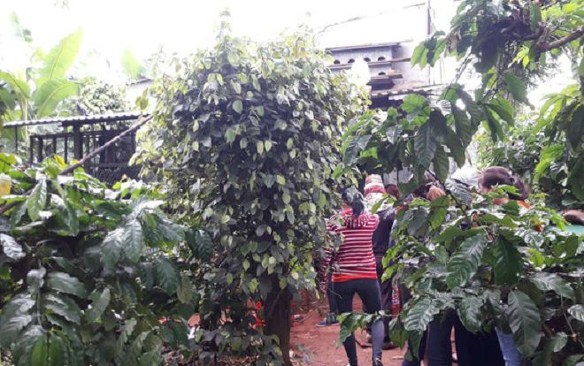 Con trai phát hiện bố tử vong trên giường, cạnh đó là thi thể người phụ nữ trong tư thế treo cổ