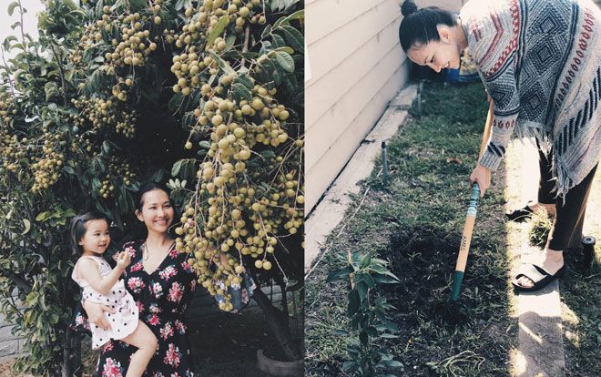 Dù làm dâu trên đất Mỹ, Kim Hiền vẫn có khu vườn đầy cây trái Việt nhìn mà mê