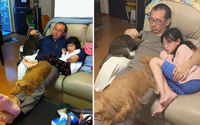 Loạt ảnh cha, con gái và thú cưng chụp ảnh cùng nhau suốt 10 năm khiến trái tim ta tan chảy