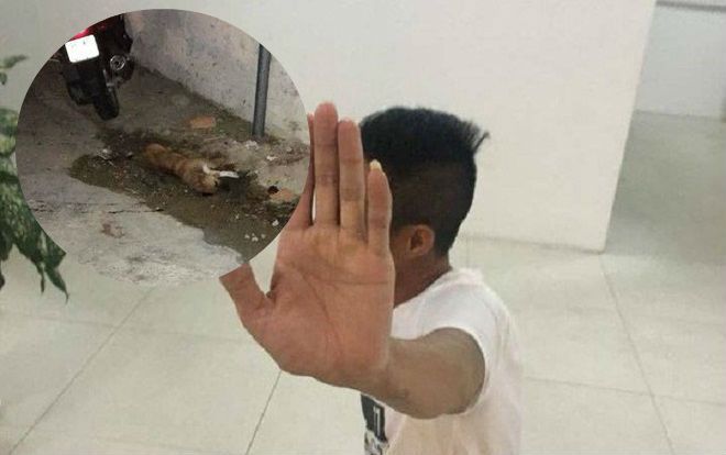 Khách Nga bức xúc vì hành động ném con chó từ tầng 24 xuống đất