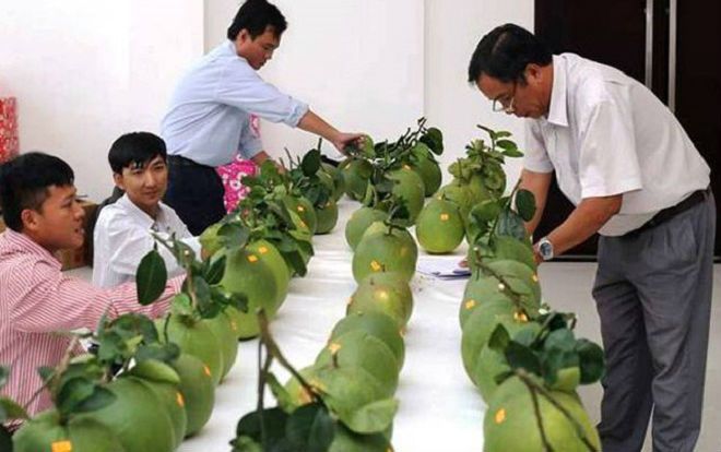 'Nữ hoàng bưởi' đầu tiên của đất chín rồng là ai?