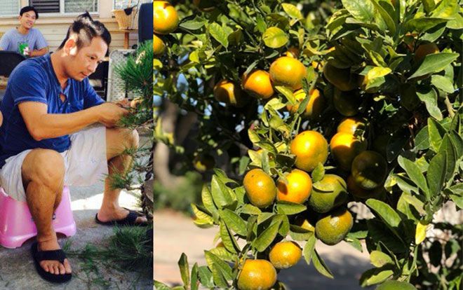 Bên cạnh dàn cây cảnh 'khủng', khu vườn Bằng Kiều có gì khiến fan thích thú?