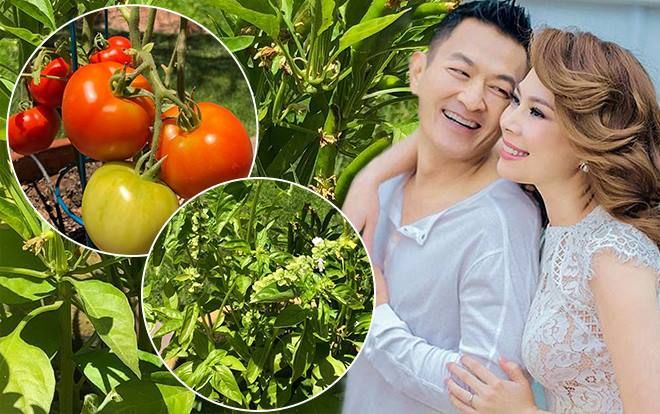 'Búp bê' Thanh Thảo khoe vườn cây được chồng yêu chiều dành tặng