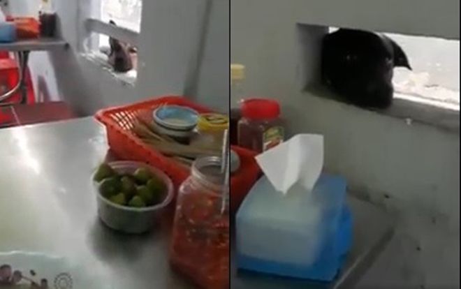 Dân mạng 'cười ngất' với chia sẻ ăn cháo lòng thôi cũng áp lực khi có những vị khách đứng 'hóng'