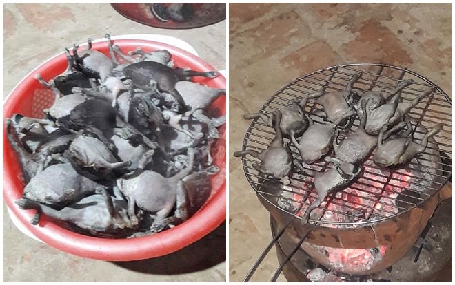 Nổi da gà với món ếch nướng nguyên con phải ai can đảm lắm mới dám thử