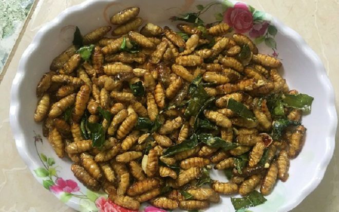 Kinh dị, 'ngã bổ ngửa' với những đặc sản côn trùng vùng cao Tây Bắc