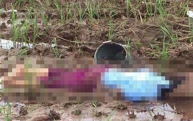 Đi bắt ốc bươu, người phụ nữ tử vong trong tư thế nằm úp giữa cánh đồng