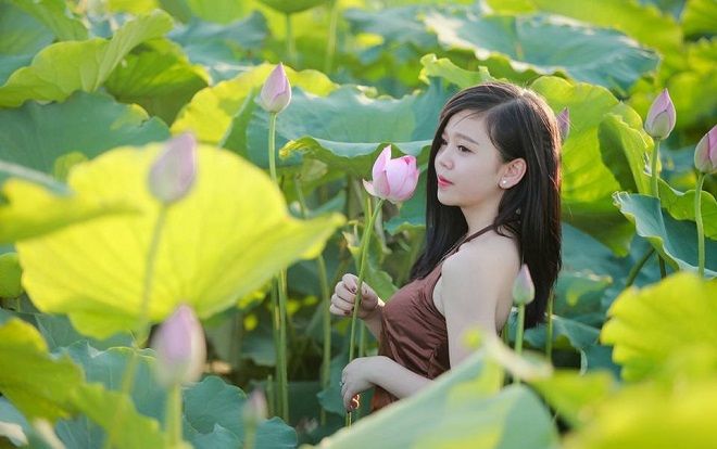 Cận cảnh đầm sen 'mới toanh' đẹp xao xuyến tại Thái Bình